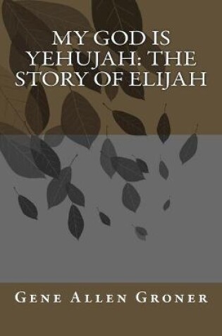 Cover of My God is Yehujah