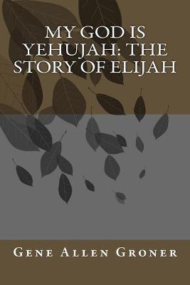 Book cover for My God is Yehujah