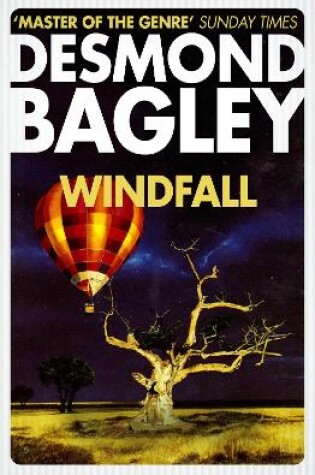 Cover of Windfall