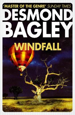 Book cover for Windfall