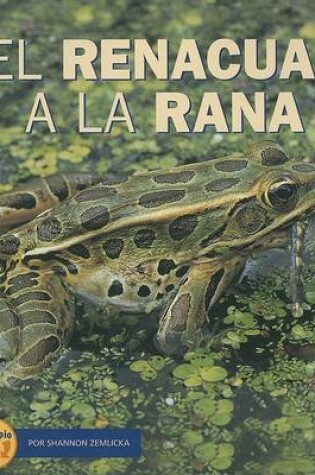 Cover of del Renacuajo a la Rana