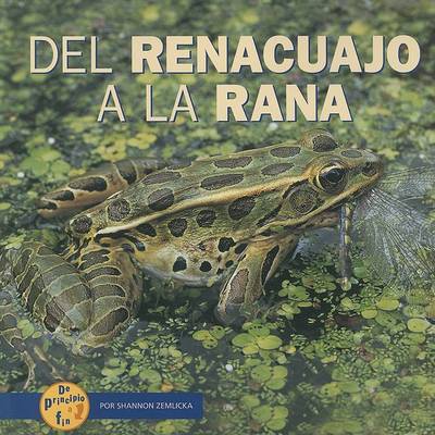 Book cover for del Renacuajo a la Rana