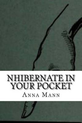 Book cover for NHibernate In Your Pocket