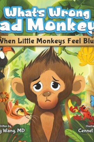 Cover of What's Wrong Sad Monkey?