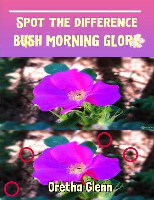 Book cover for Spot the difference Bush Morning Glory