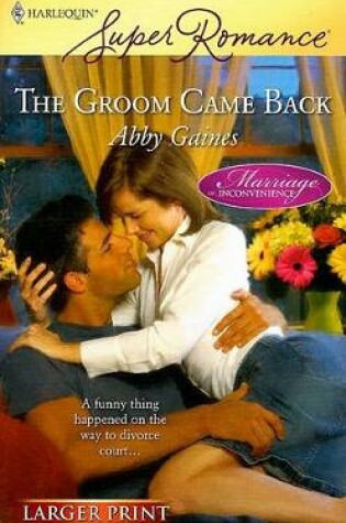 Cover of The Groom Came Back