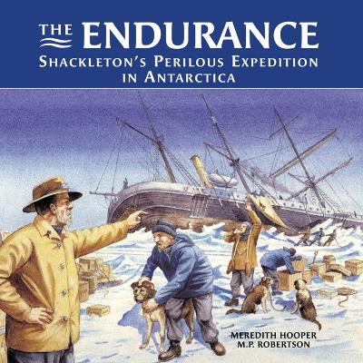 Book cover for The Endurance