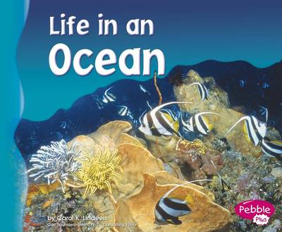 Cover of Life in an Ocean