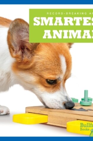 Cover of Smartest Animals