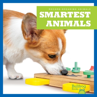 Book cover for Smartest Animals