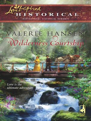 Book cover for Wilderness Courtship