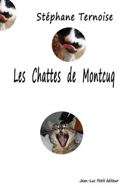 Book cover for Les chattes de Montcuq