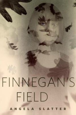 Cover of Finnegan's Field