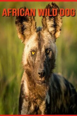 Cover of African wild dog