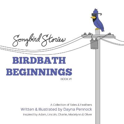 Book cover for Birdbath Beginnings