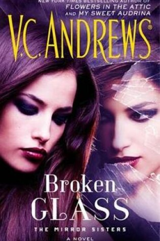 Cover of Broken Glass