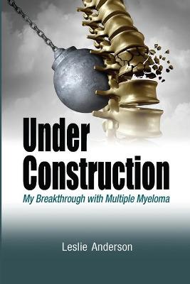 Book cover for Under Construction
