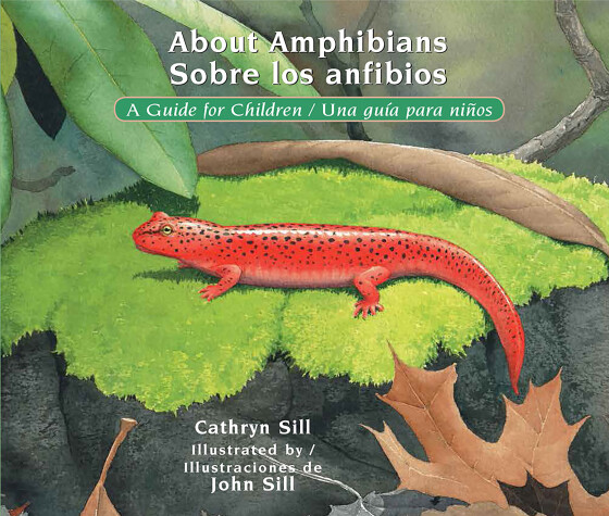 Book cover for About Amphibians / Sobre los anfibios