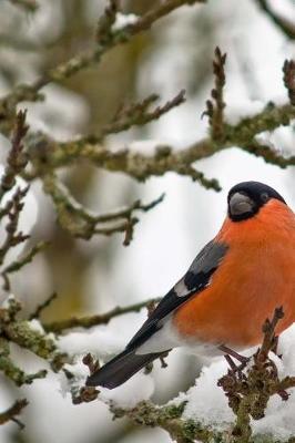 Book cover for Male Bullfinch in Winter Journal