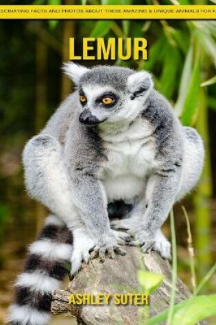 Cover of Lemur