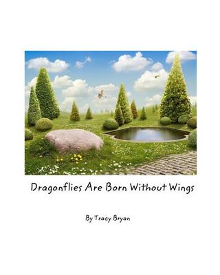 Book cover for Dragonflies Are Born Without Wings