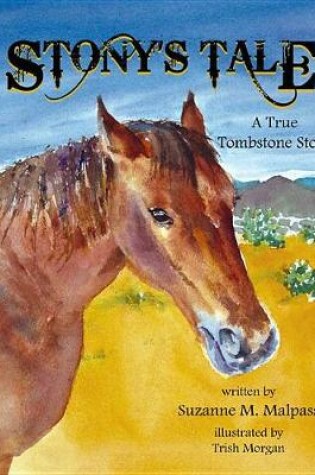 Cover of Stony's Tale
