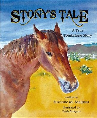 Book cover for Stony's Tale