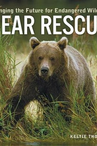 Cover of Bear Rescue