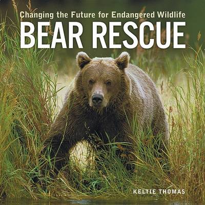 Book cover for Bear Rescue