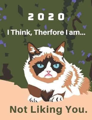 Book cover for 2020 Blank Hourly Appointment Book For Daily Planning - Cute, Sarcastic Grumpy Cat Cover Art