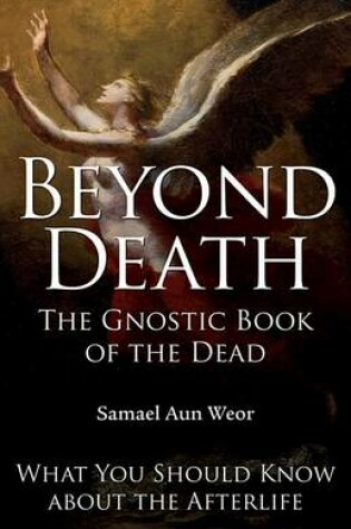 Cover of Beyond Death