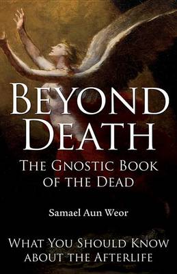 Book cover for Beyond Death