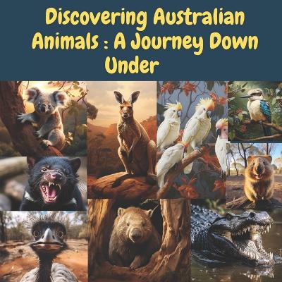 Cover of Discovering Australian Animals