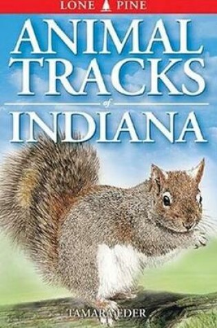 Cover of Animal Tracks of Indiana