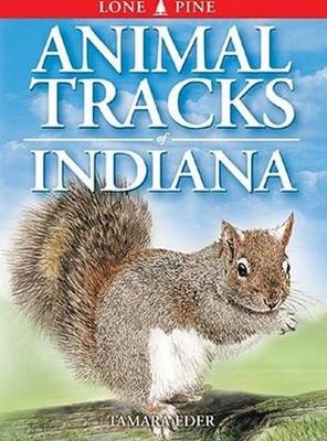 Book cover for Animal Tracks of Indiana