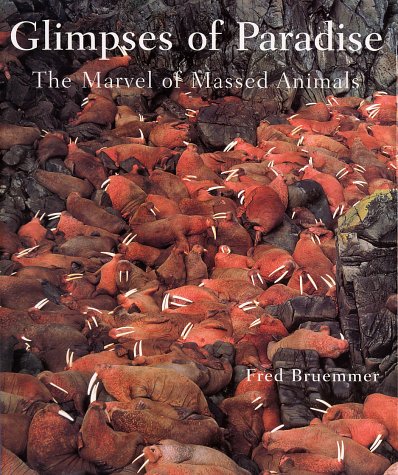 Book cover for Glimpses of Paradise