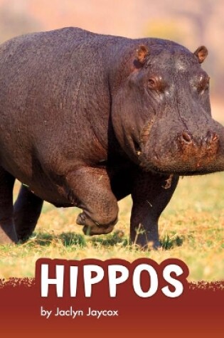 Cover of Hippos