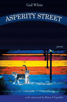 Book cover for Asperity Street