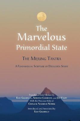 Book cover for The Marvelous Primordial State
