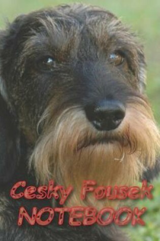 Cover of Cesky Fousek NOTEBOOK