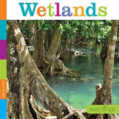 Book cover for Wetlands