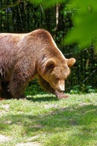 Cover of Brown Bear on a Grassy Hill Journal