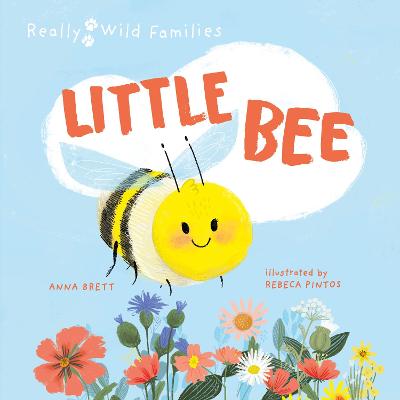 Book cover for Little Bee