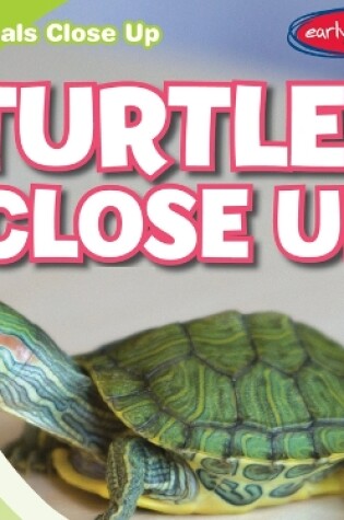 Cover of Turtles Close Up