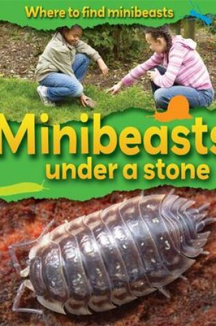 Cover of Minibeasts Under a Stone