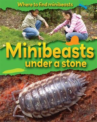 Cover of Minibeasts Under a Stone
