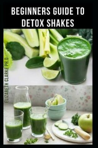 Cover of Beginners Guide to Detox Shakes