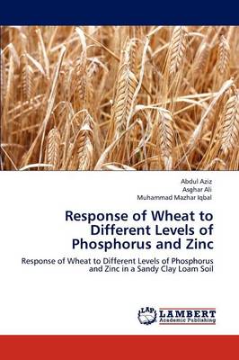 Book cover for Response of Wheat to Different Levels of Phosphorus and Zinc