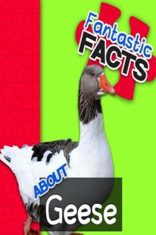 Cover of Fantastic Facts about Geese