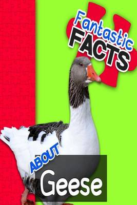 Book cover for Fantastic Facts about Geese